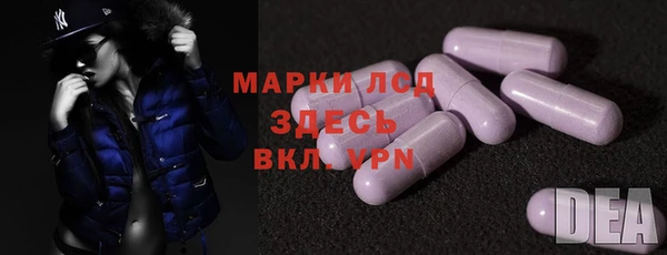 индика Ростов