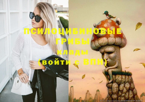 амф Аркадак