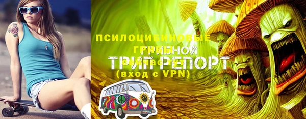 гашик Арсеньев
